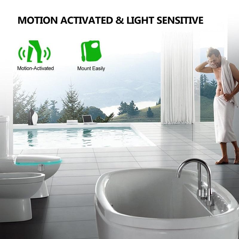 Toilet Night Light - Pioneer Gadgets