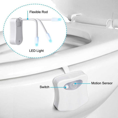 Toilet Night Light - Pioneer Gadgets